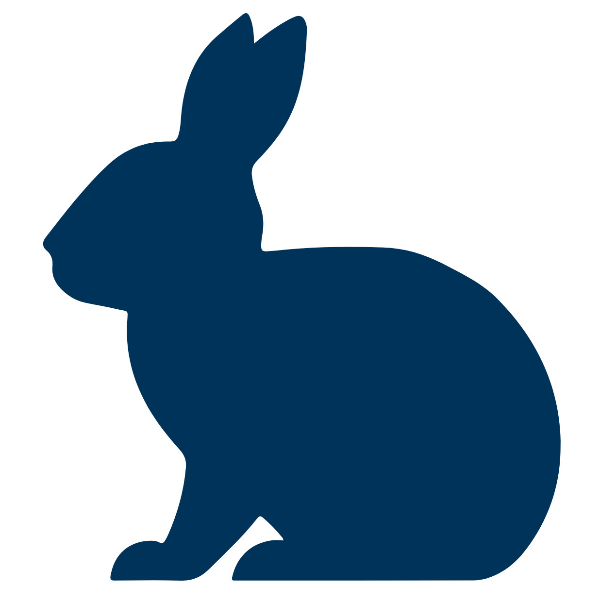 rabbit icon